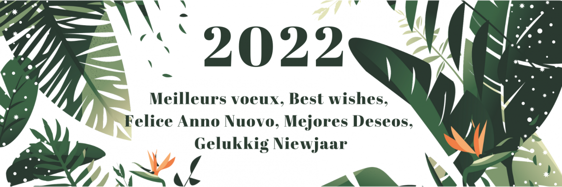 Felice Anno Nuovo 2022 !